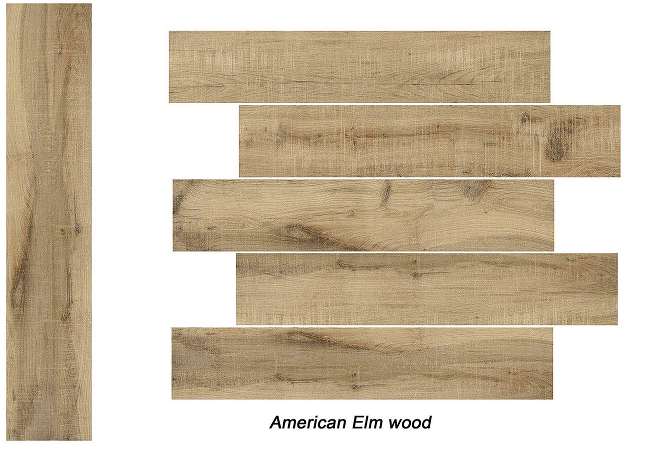 American Elm Wood